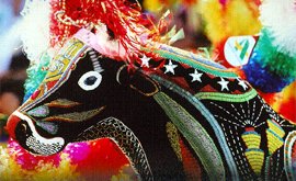 Bumba-meu-boi